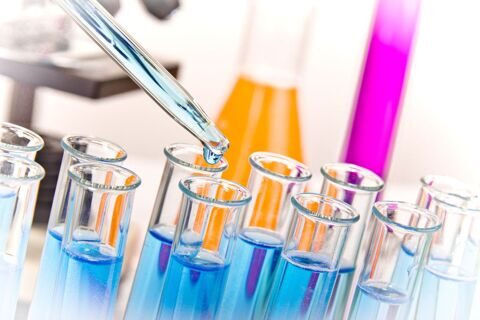 Characterization of vaginal Lactobacillus species
